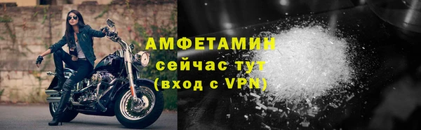 стаф Вязьма