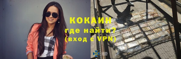 МДПВ Вяземский