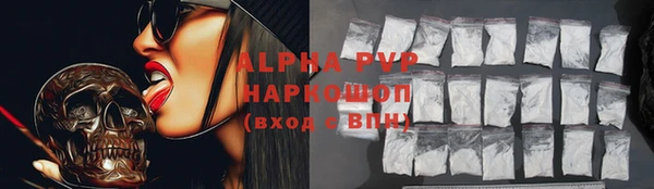 стаф Вязьма