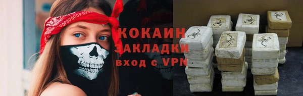 МДПВ Вяземский