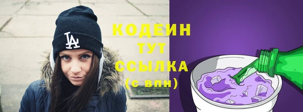 МДПВ Вяземский