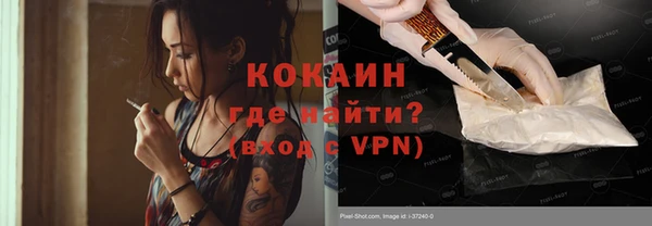 стаф Вязьма