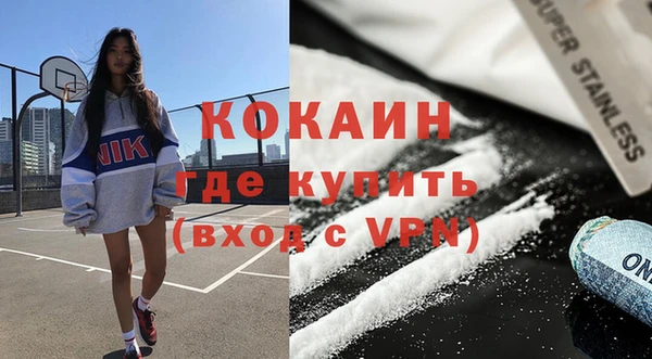 стаф Вязьма