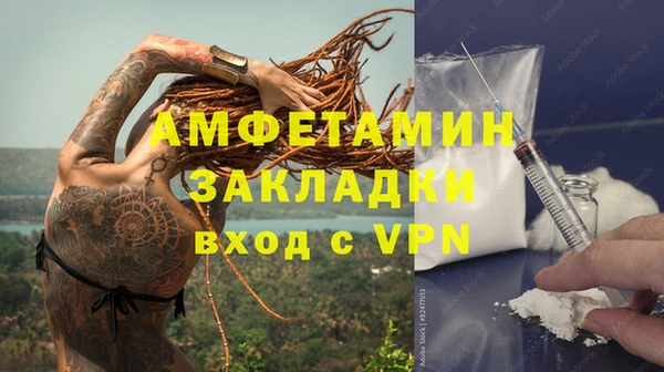 стаф Вязьма