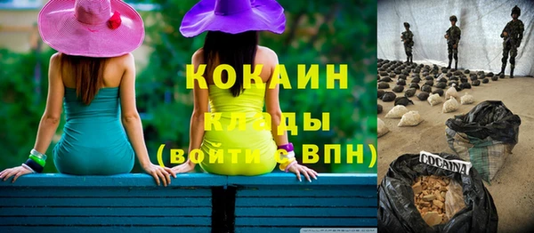МДПВ Вяземский