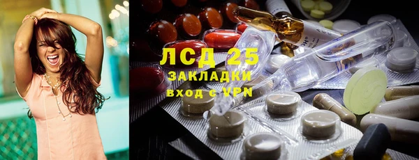 стаф Вязьма