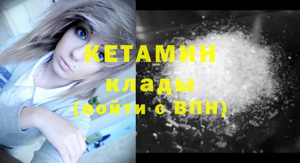 стаф Вязьма