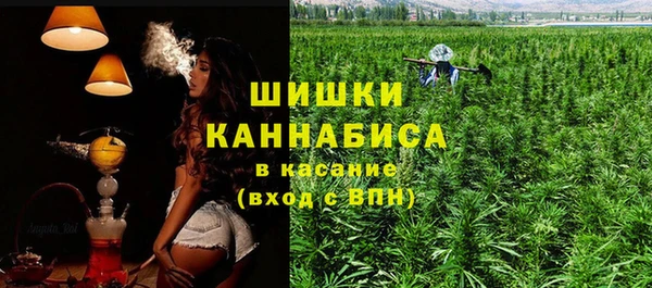 МДПВ Вяземский