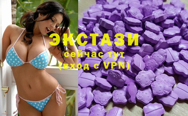 МДПВ Вяземский