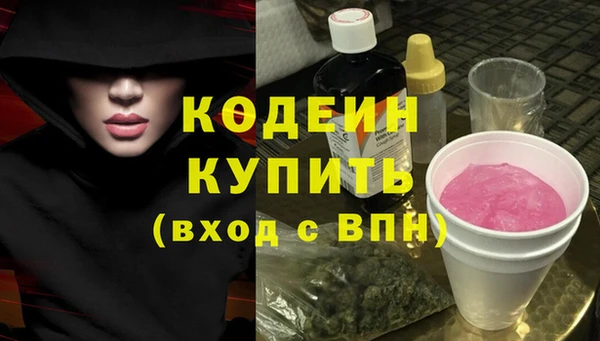 МДПВ Вяземский