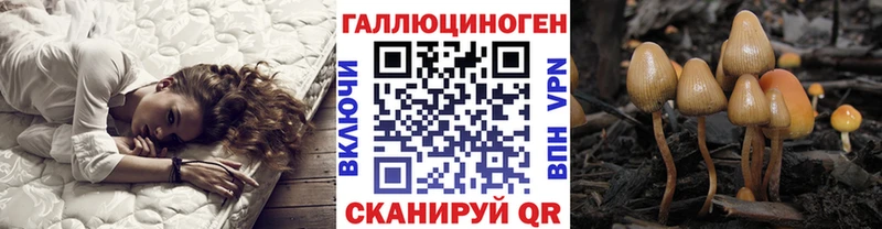 Псилоцибиновые грибы мицелий  купить закладку  hydra зеркало  Липецк 